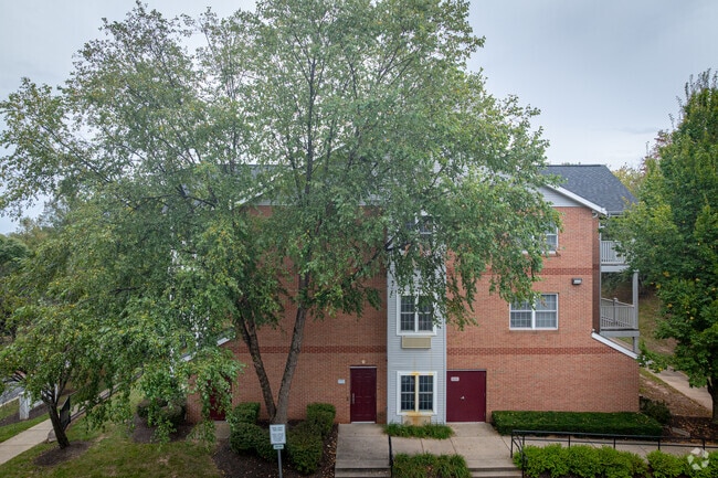 Photo - Salony House