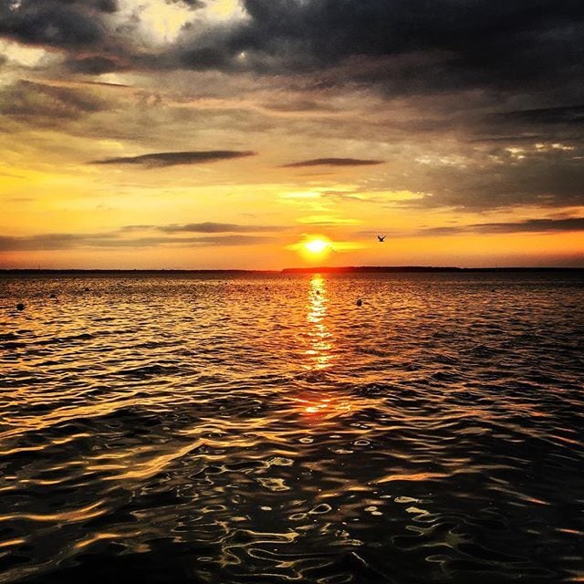 Photo - 10300 Coastal Hwy Unit 101