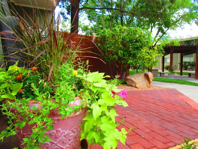 Court Yard - North Park Apartments