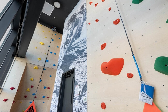 Rock Climbing Wall