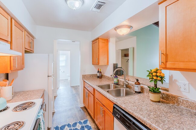 Kitchen - Riva Rental