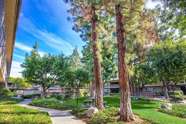 Photo - Saddleback Pines Apartment Homes