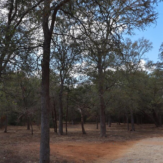 Photo - 282 Texas Oak Dr