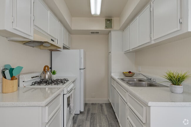 Studio - 450SF - Kitchen - Madera at Metro