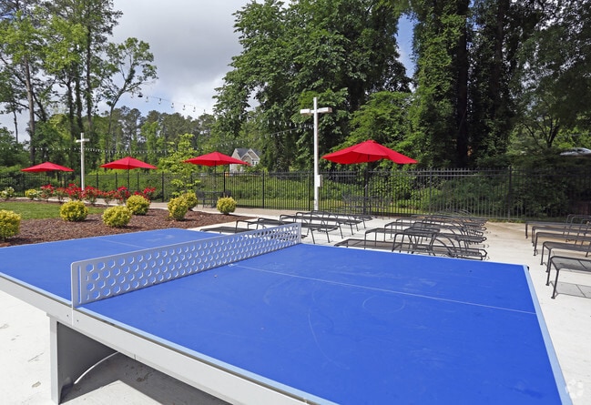 Ping Pong - Chatham Forest Apartments