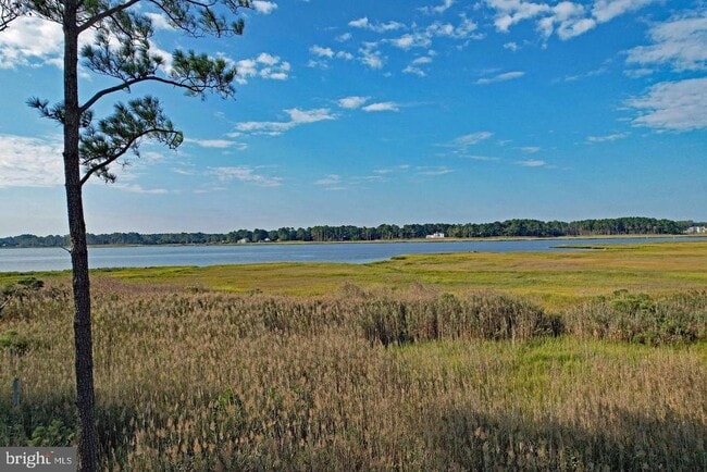 Photo - 34903 W Love Dr