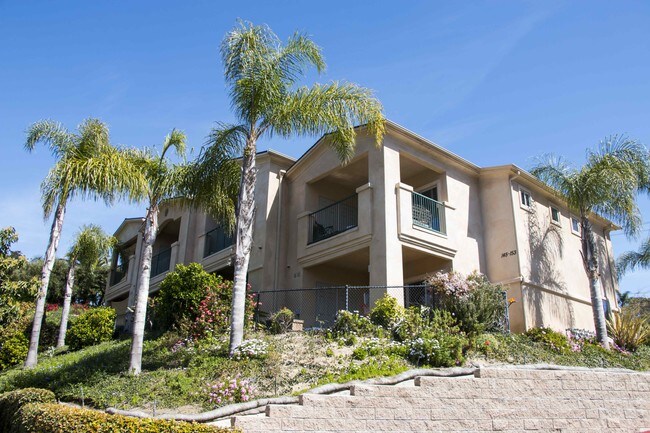 Paradise Encinitas