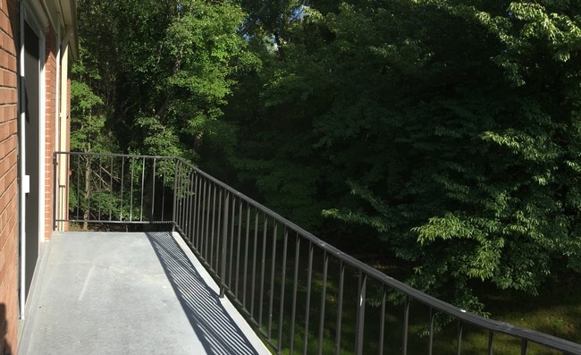South-facing Balcony has a view of the woods - 10631 Weymouth St Unit Apartment 203
