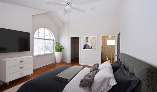 Master bedroom with walk-in closet and private bathroom