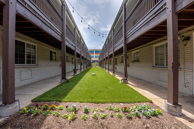 Photo - The Donatello