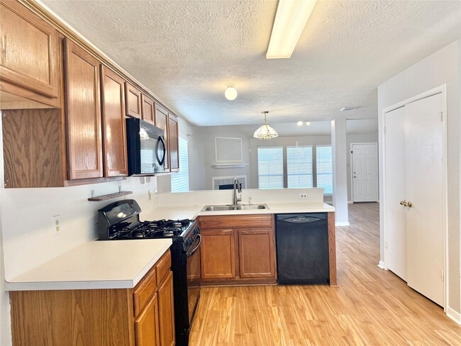 15919 Blue Mesa Ridge Dr