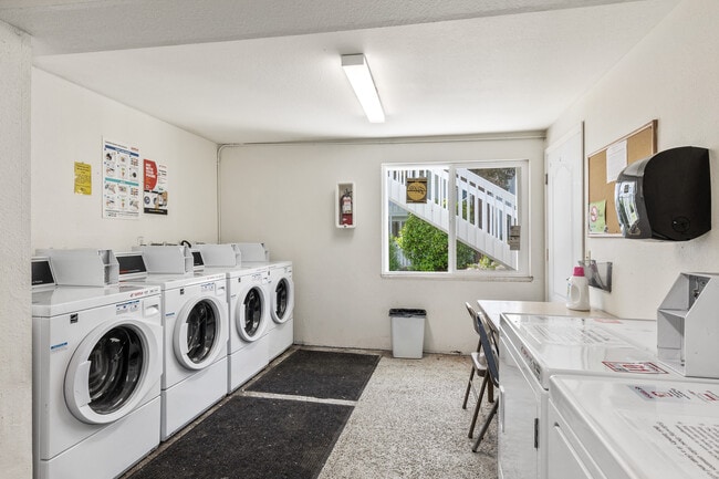 Photo - Arise Bellingham