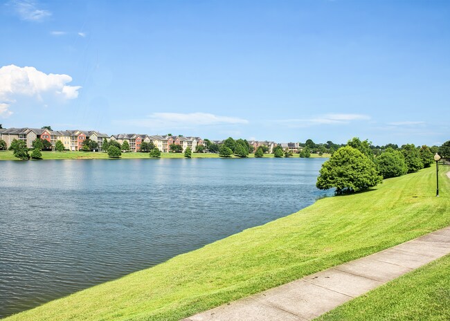Cypress Lake Apartments