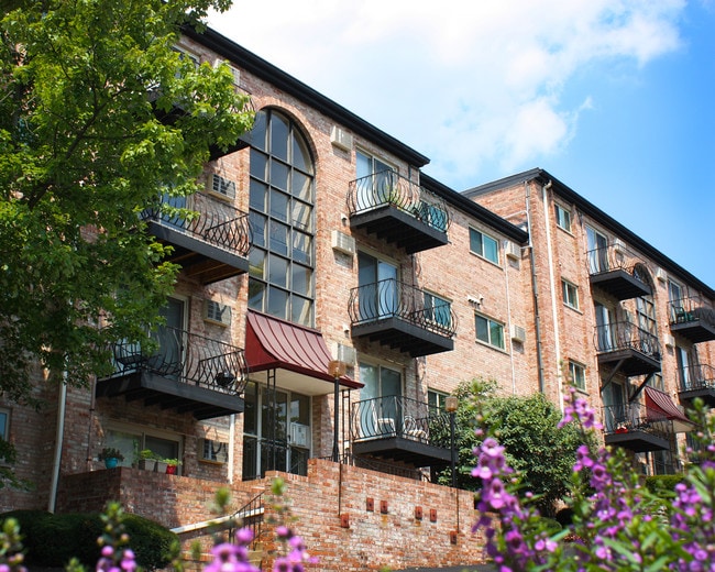 The Madison Apartments For Rent in Cincinnati, OH