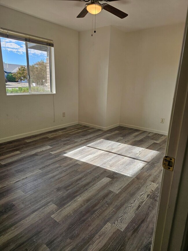 Photo - Big backyard right in the center of town!!!