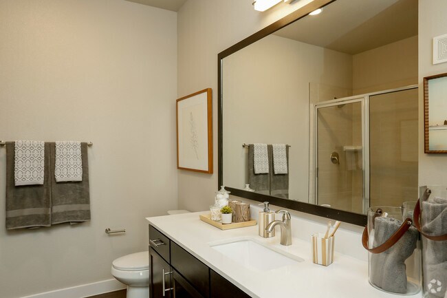 Photo - Falcon at Grand Harbor