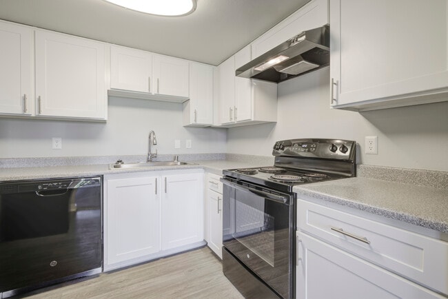 2BR, 1.5BA - 1,010SF - Kitchen