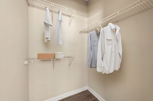 C195580_CreeksideVista_1B1B_CLOSET _02_VS - Creekside Vista