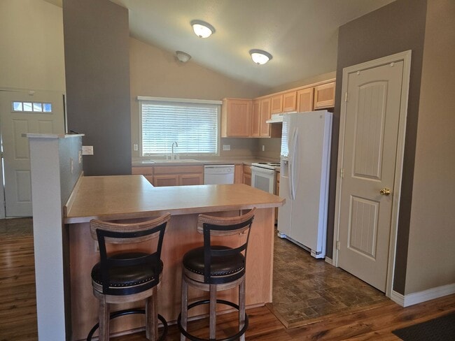 Photo - Live in Town