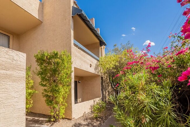 Building Photo - 1201 S McClintock Dr