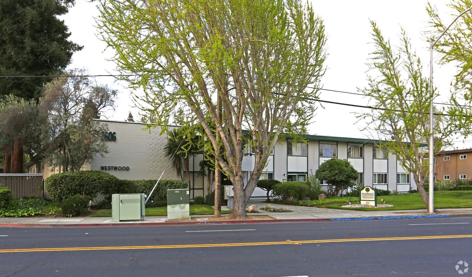 Photo - Westwood Ambassador