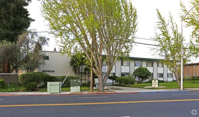 Photo - Westwood Ambassador