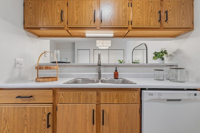 Refinished Countertops & Modern Pulldown Faucet - Kitchen