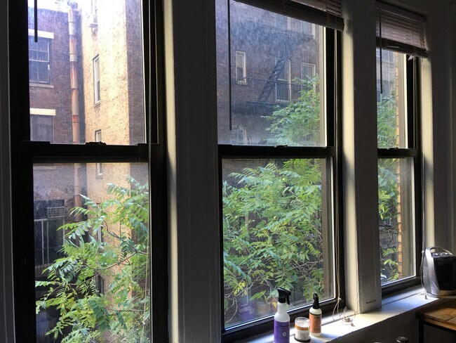 Windows looking out to courtyard in spring - 345 W 86th St Unit 416C