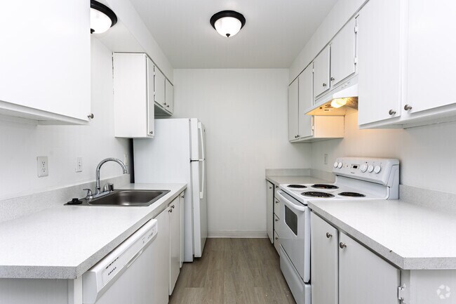 1BR, 1BA - 600SF - Kitchen