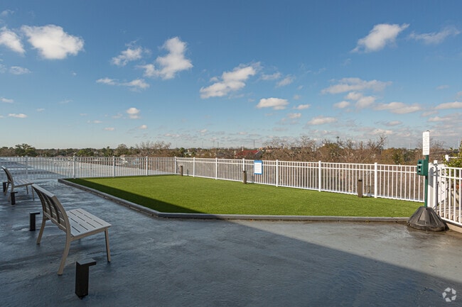 Rooftop Dog Park