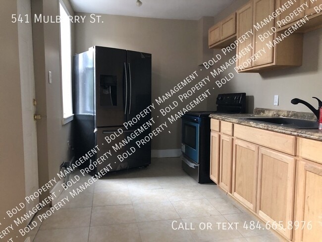 Photo - 541 Mulberry St