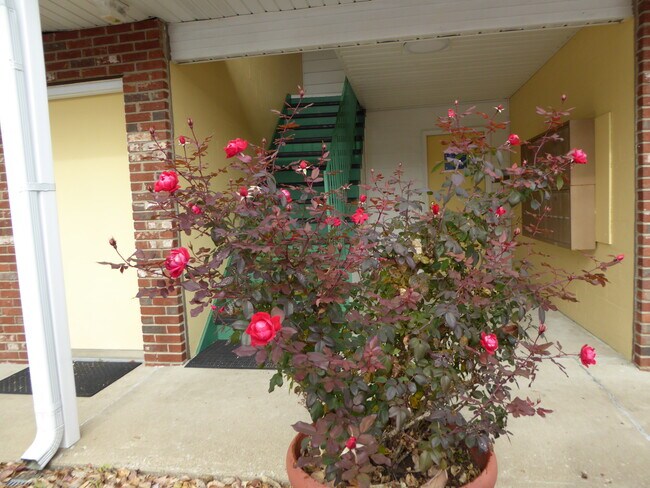 Staircase - Sunflower Place - Full Unit for Rent