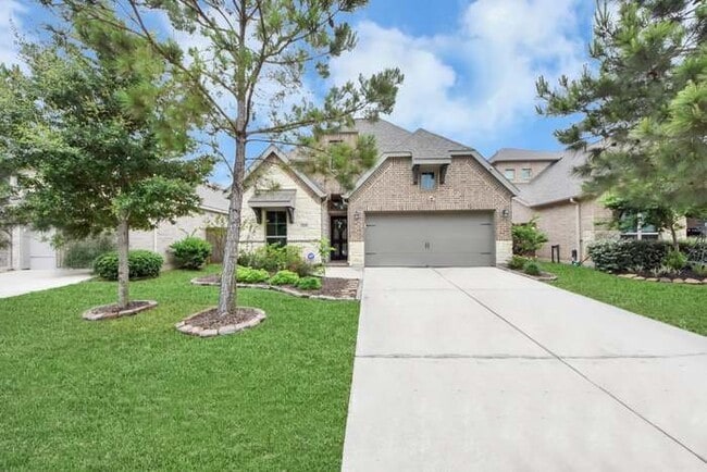 16307 Pintado Forest Rd