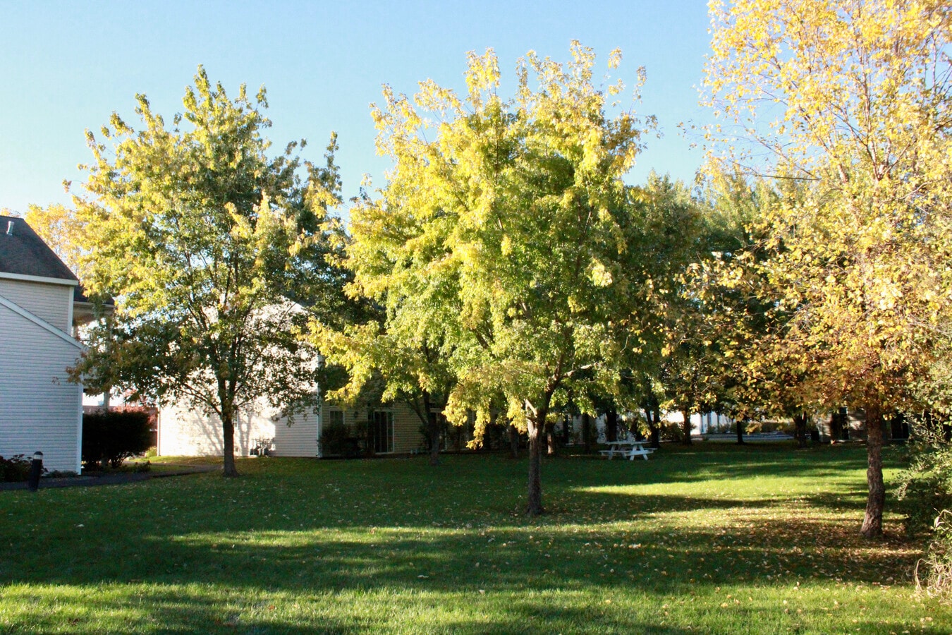 Photo - Plaza East