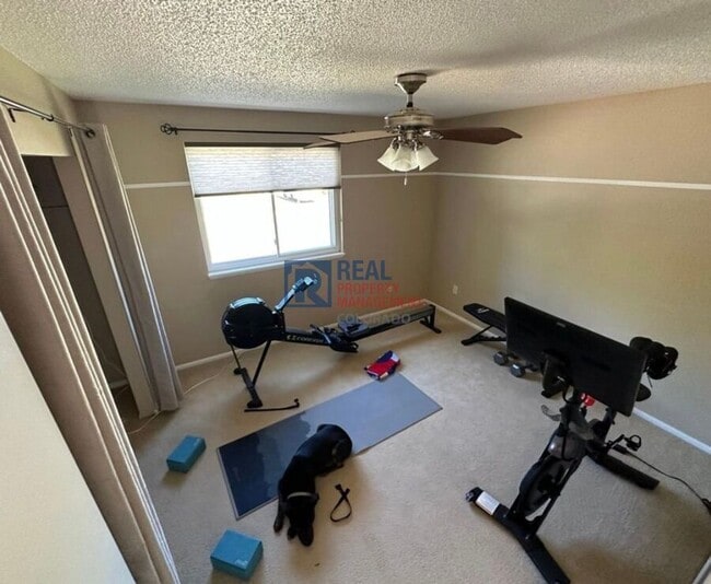 Photo - 831 Winchester Dr