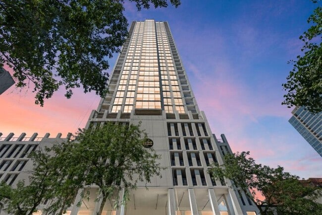 Building Photo - 1 bedroom in Chicago IL 60610 Unit 1010