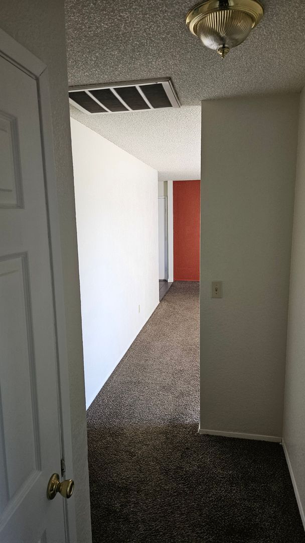 Photo - Spacious 3 bedroom with large backyard