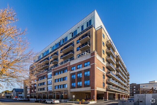 Photo - Sage Kingston