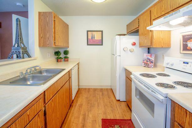 Modern Kitchen With Custom Cabinet