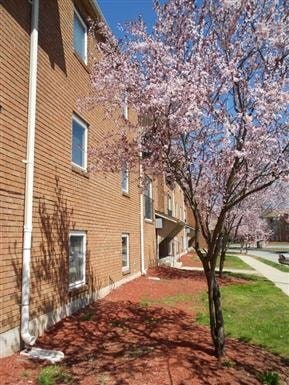 Building Photo - 40 E Baltic St Unit #40