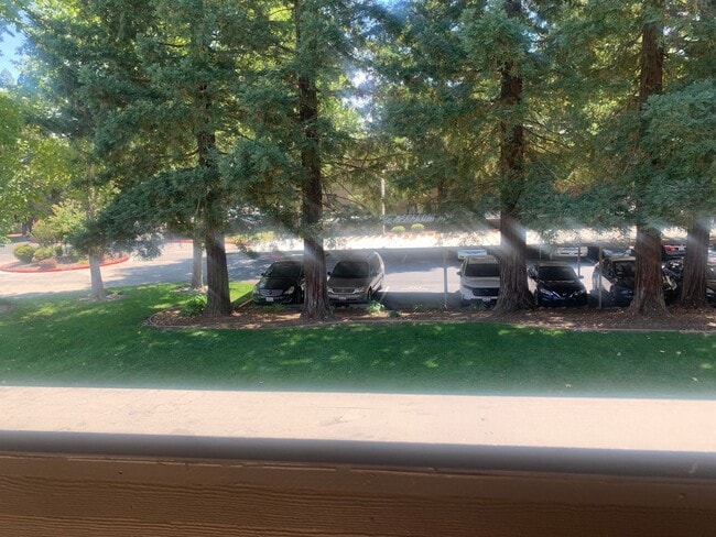 Photo - Beautiful upstairs condo with Washer and D... Unit 28