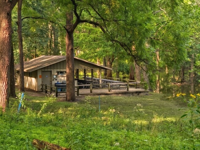 The Mahomet Life