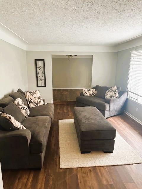 Photo - 251 Honey Jane Dr