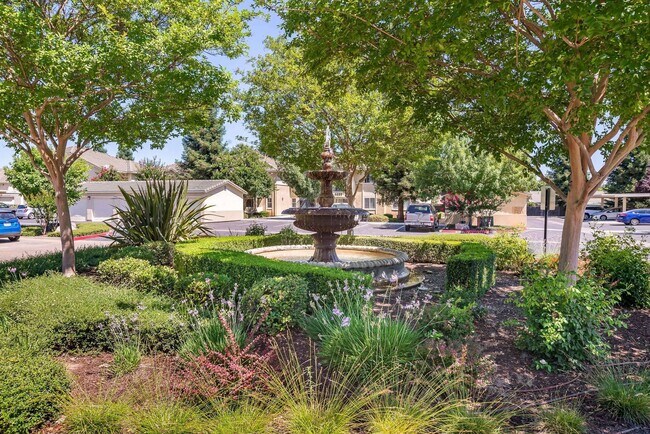 Fountain Feature