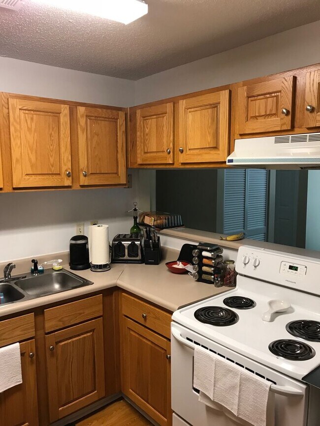 Photo - 4 BR/2 BA Apartment in Heart of Athens