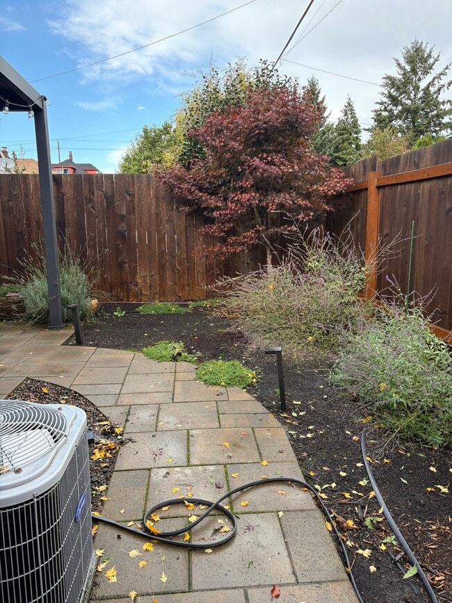 pathway from back yard to side garden - 321 N Mason St