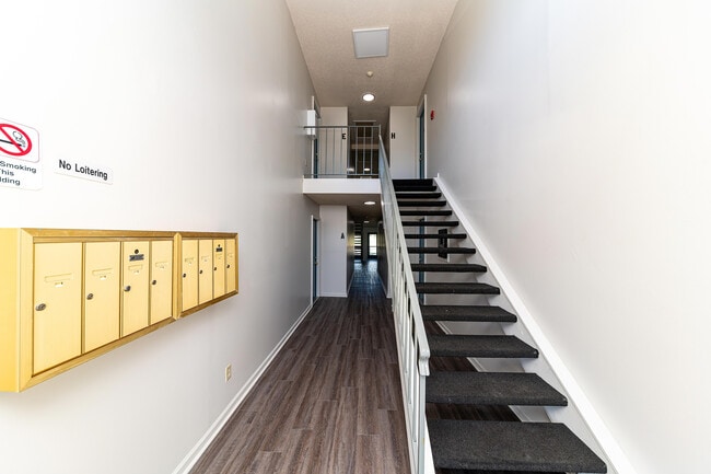 Interior Stairs