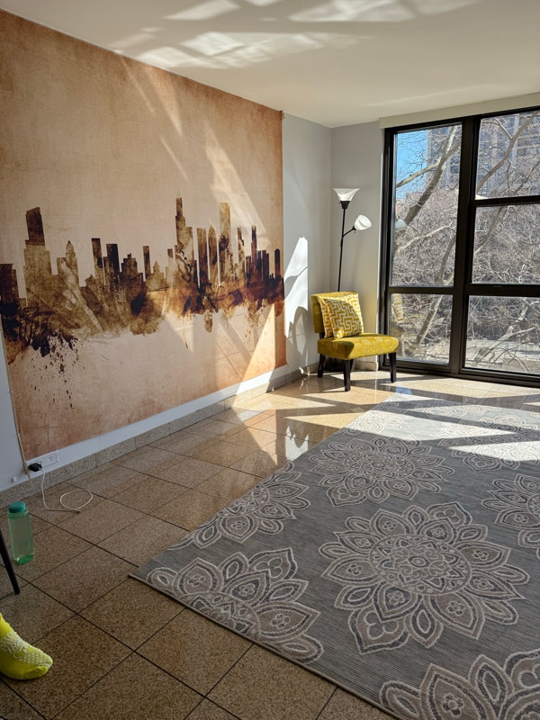 Photo - 2901 S Michigan Ave Apartment