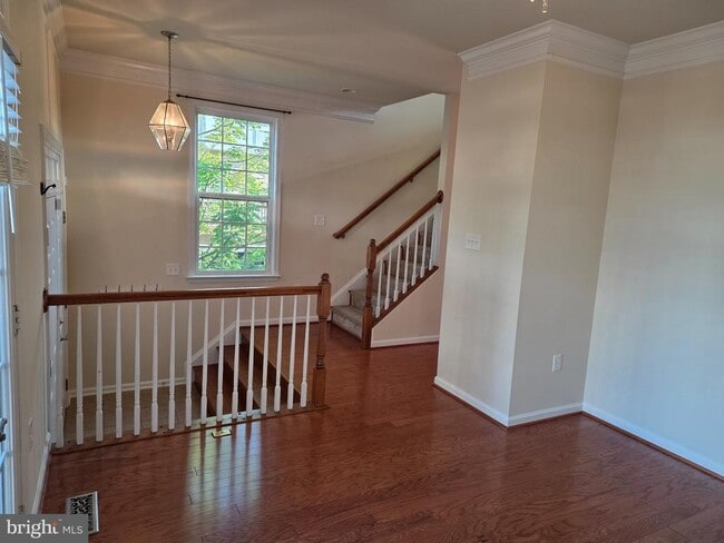 Photo - 20667 Maitland Terrace