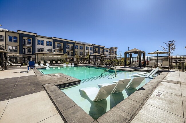 The Citizen on Constitution Pool - The Citizen on Constitution